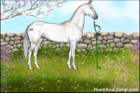 Horse Color:Gray Brown Dun Tobiano Blanket 