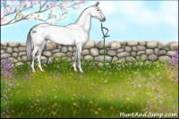 Horse Color:Gray Brown Dun Sabino Appaloosa 