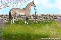 Horse Color:Brown Dun Sabino
