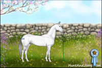 Horse Color:Gray Brown Dun Tobiano Rabicano 