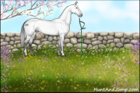 Horse Color:Gray Platinum Bay Dun Sabino 