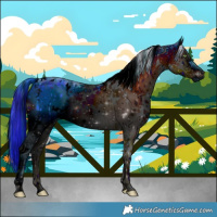 Horse Color:ERROR: UNKNOWN ANOMALY