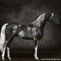Horse Color:White Spotted Liver Chestnut Ice Mushroom 