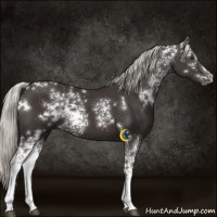 Horse Color:White Spotted Liver Chestnut Mushroom 