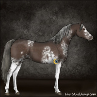 Horse Color:White Spotted Liver Chestnut Mushroom 