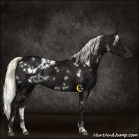 Horse Color:White Spotted Liver Chestnut Ice Mushroom 
