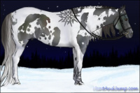 Horse Color:Platinum White Spotted Liver Chestnut Tobiano