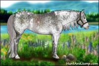 Horse Color:Platinum White Spotted Chocolate Palomino