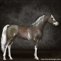 Horse Color:White Spotted Liver Chestnut Mushroom Splash 