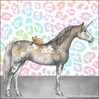 Horse Color:White Spotted Silver Smoky Blue Onyx Chinchilla Ice Sabino 