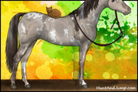 Horse Color:White Spotted Liver Red Dun Ice 
