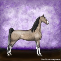 Horse Color:Brown Dun Sabino Brindle