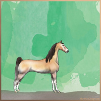 Horse Color:Buckskin Roan Onyx 