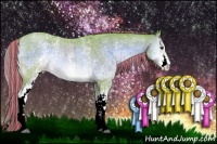 Horse Color:Painted Watercolor White Spotted Chocolate Palomino Roan Onyx Rabicano 