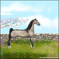 Horse Color:Brown Roan Dun Varnish 