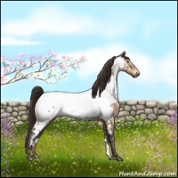 Horse Color:Brown Dun Near Fewspot Brindle 