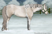 Horse Color:Chocolate Palomino Roan Pearl Tobiano