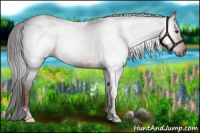 Horse Color:Gray Liver Chestnut Tobiano 
