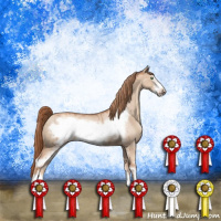 Horse Color:Gold Champagne Dun Sabino Frame Brindle 
