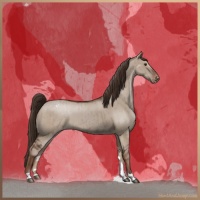 Horse Color:Liver Red Dun Snowcap Brindle