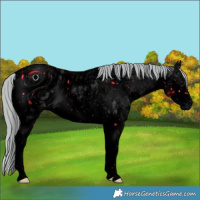 Horse Color:ERROR: UNKNOWN ANOMALY