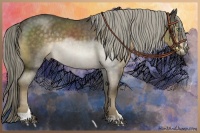 Horse Color:Chocolate Palomino Roan Sabino Rabicano 