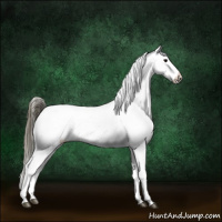 Horse Color:Smoky Grullo Appaloosa