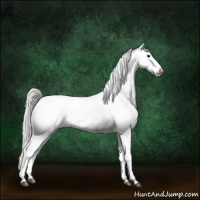 Horse Color:Silver Brown Dun Sabino Appaloosa 