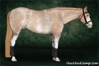 Horse Color:White Spotted Liver Red Roan Pearl 