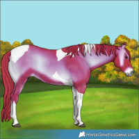 Horse Color:Watercolor Liver Red Onyx Tobiano 