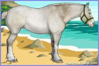 Horse Color:Chocolate Palomino Roan Dun Mushroom Sabino Rabicano