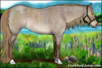 Horse Color:Liver Red Dun Roan 