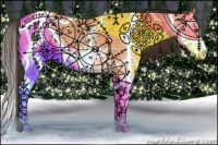 Horse Color:Brown Ice Dun Splash Appaloosa 