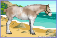 Horse Color:White Spotted Liver Chestnut Pearl Sabino