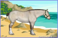 Horse Color:Liver Red Dun Roan 