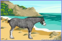 Horse Color:Liver Red Roan Sabino Appaloosa 