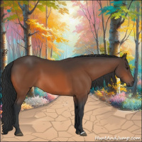 Horse Color:Brown 