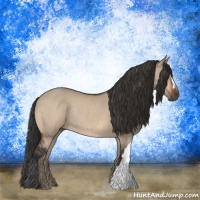 Horse Color:Bay Dun Rabicano 