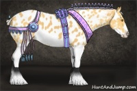 Horse Color:Palomino Appaloosa  and Palomino Splash Appaloosa 