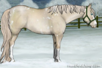 Horse Color:White Spotted Chocolate Palomino Pearl Dun Brindle
