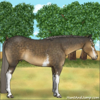 Horse Color:White Spotted Chocolate Palomino Roan 