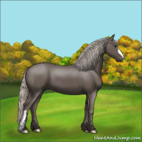 Horse Color:Silver Black 