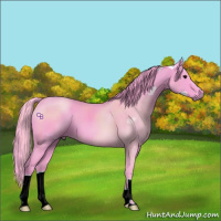 Horse Color:Watercolor Black 