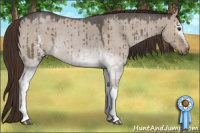 Horse Color:White Spotted Liver Red Dun Roan Rabicano Brindle