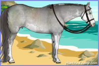 Horse Color:Platinum Liver Red Dun Sabino
