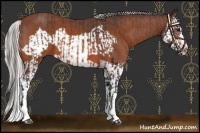 Horse Color:Bay Splash Frame and Silver Bay Splash Frame