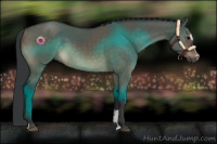 Horse Color:Brown Dun Sabino 