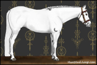 Horse Color:Gray Chestnut Splash Frame  and Gray Chestnut Splash Frame 