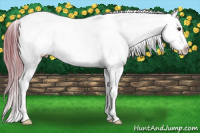 Horse Color:Watercolor Liver Chestnut Appaloosa 