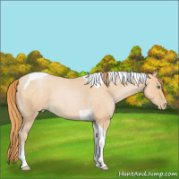 Horse Color:Smoky Blue Roan Pearl Tobiano 